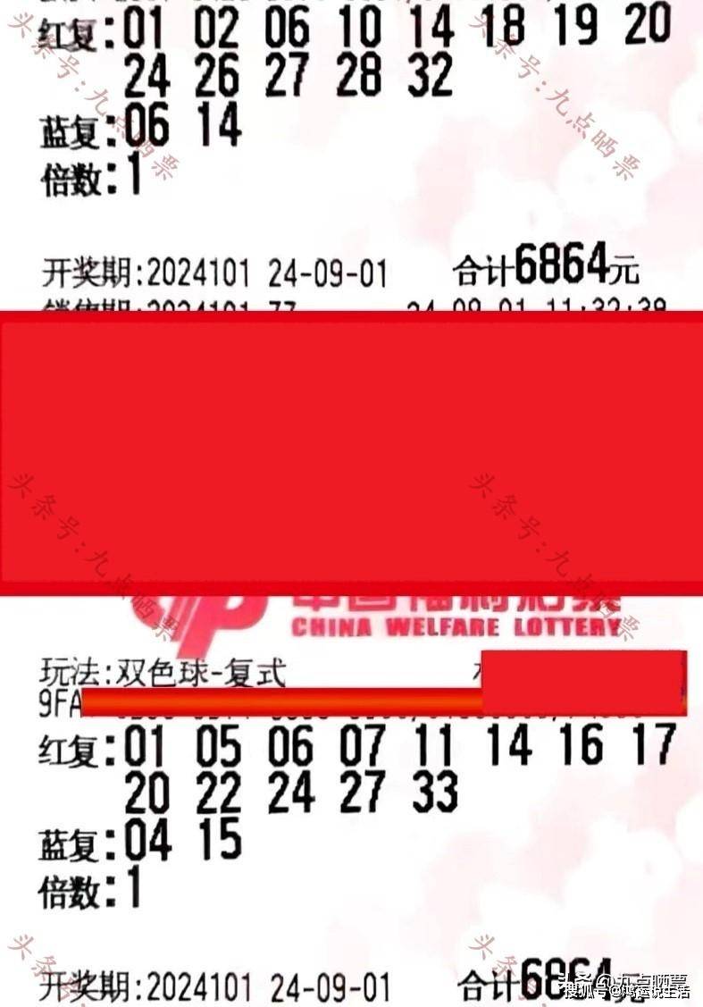 双色球2021134期，幸运与策略交织的博弈