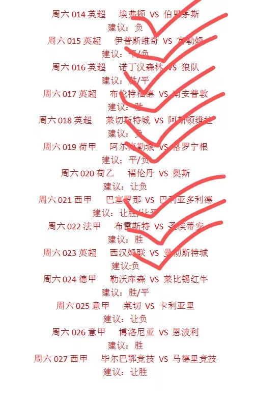 足彩14场胜负专家预测，深度解析与精准前瞻