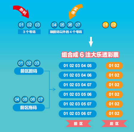 体育彩票大乐透预测汇总，探索未来的幸运之门