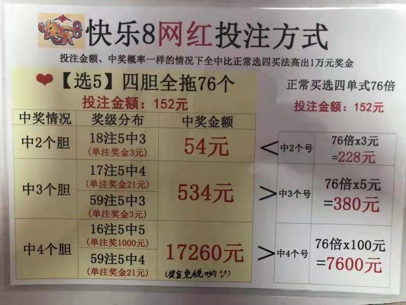 中国福利彩票双色球复式计算器，解析与运用