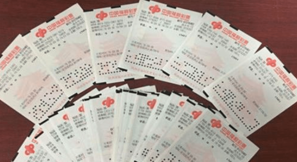 探索3D布衣精华字谜的世界