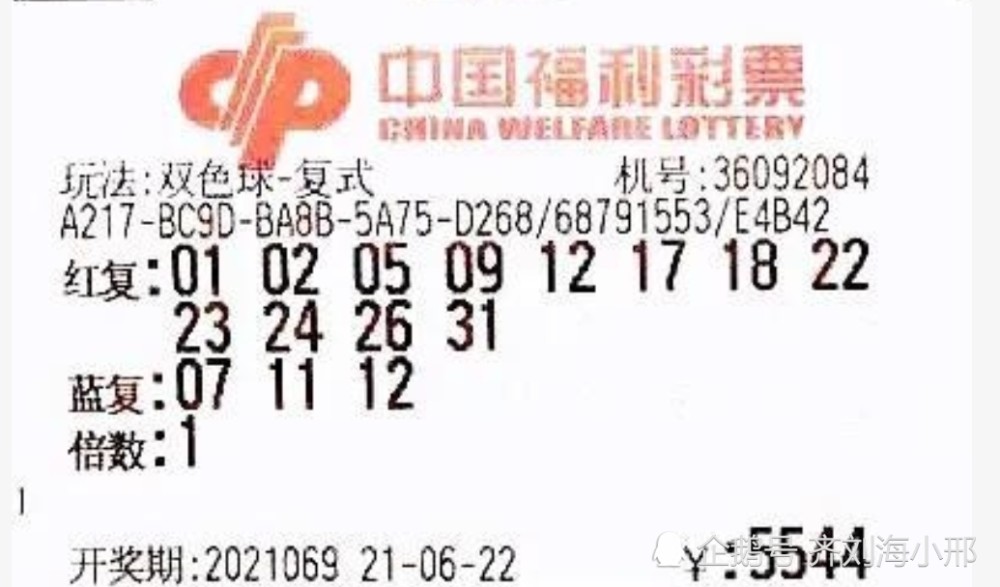 双色球今日开奖号码95期，期待与惊喜的交汇