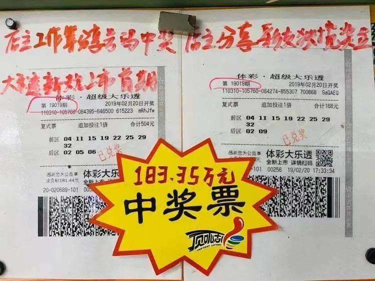 牛彩票网首页，一站式彩票信息服务平台