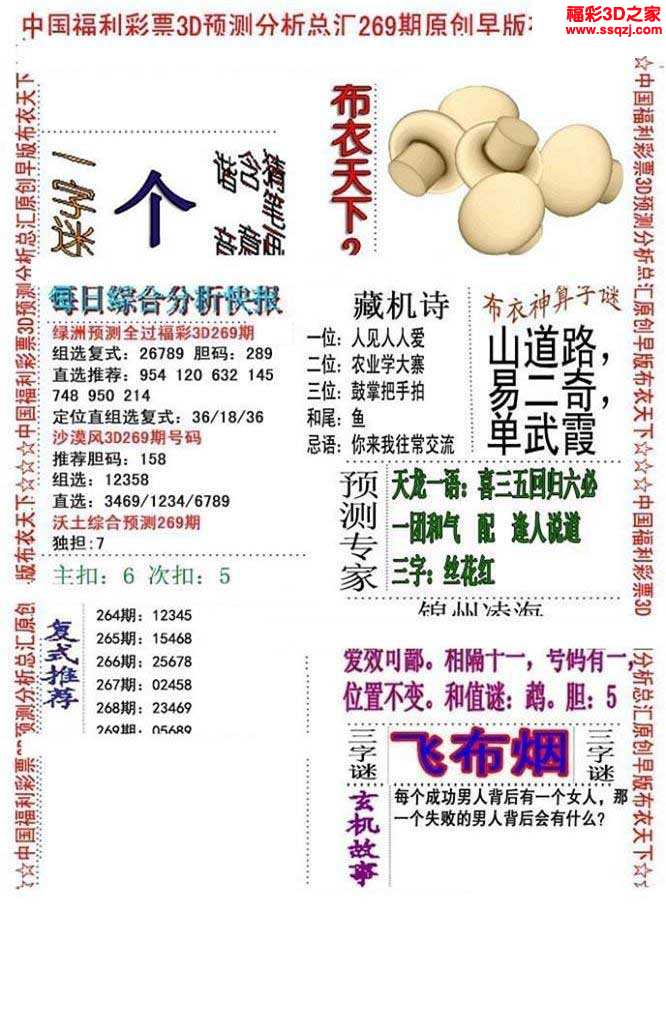 探索精华布衣二的多维内涵