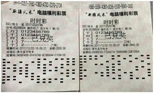 家彩网手机版下载指南，便捷投注，随时随地