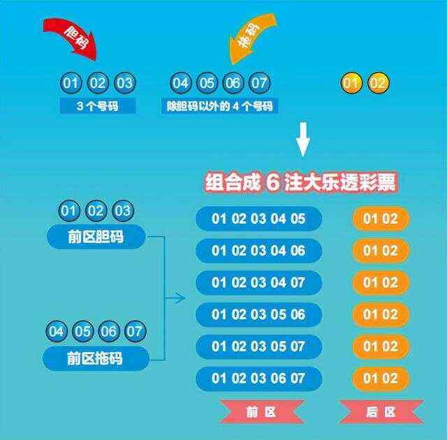 黑龙江体彩6+1玩法，规则、策略与乐趣