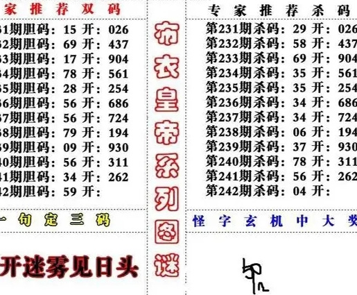 福彩3D字谜图谜总汇，谜语出现与解决办法