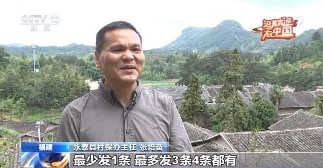 中国体彩排列三今晚开奖结果查询—揭秘彩票背后的故事