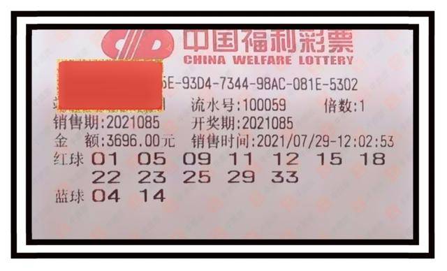 双色球085期晒票，期待与惊喜的交汇点