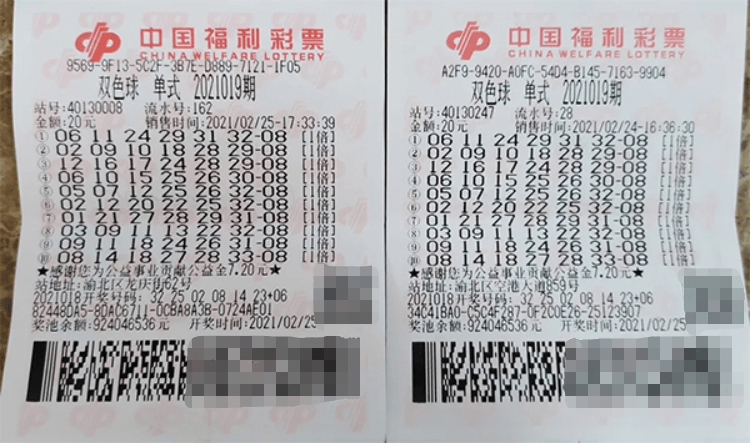 双色球彩票，揭秘2006年第099期背后的故事与启示