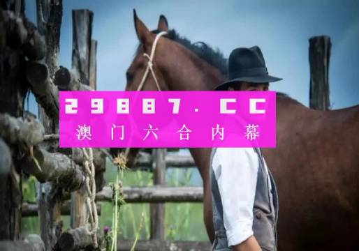 探索澳门，原料免费资料的深度解析（2023年）