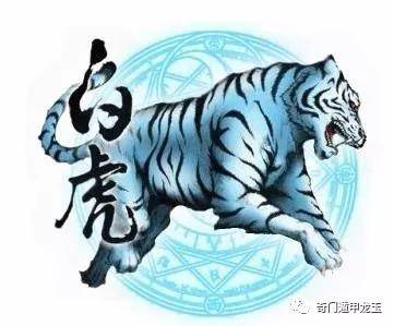 聚宝盆 第32页