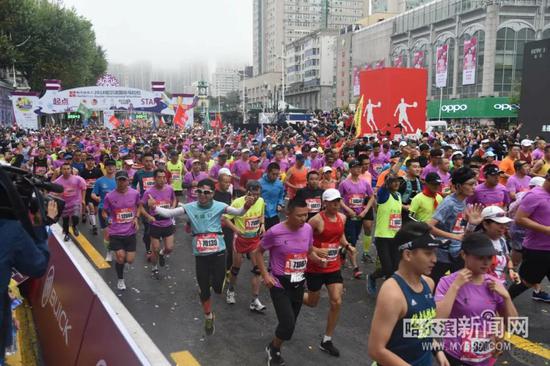 揭秘2023年马报开奖结果，幸运与期待交织的盛宴