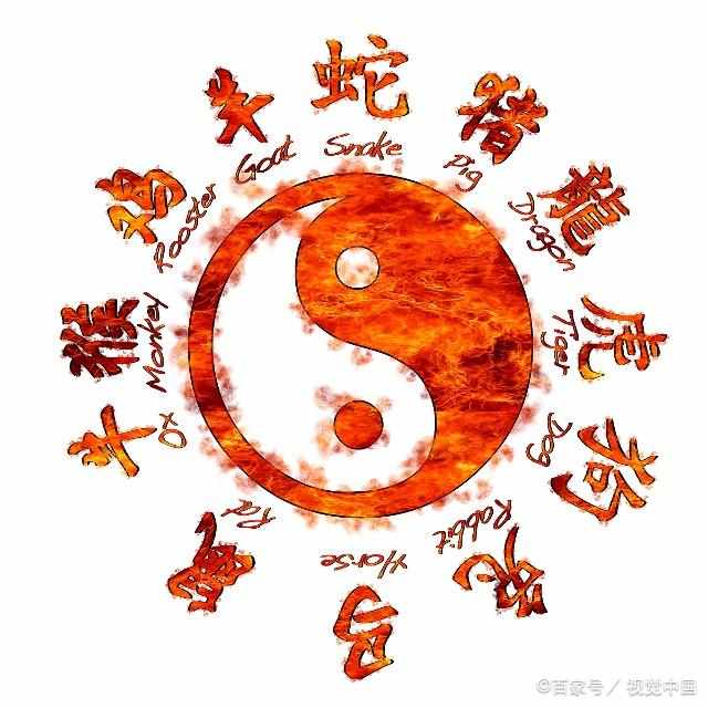 今晚必定开什么生肖，揭秘生肖运势与神秘预测