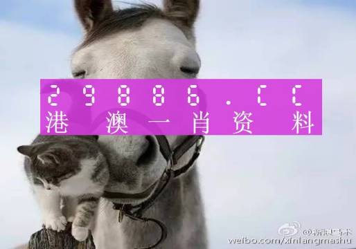 澳门一肖一码准选一码之探索（2023年深度解析）