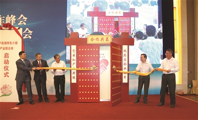 王中王493333中特一网，亮点纷呈，独树一帜