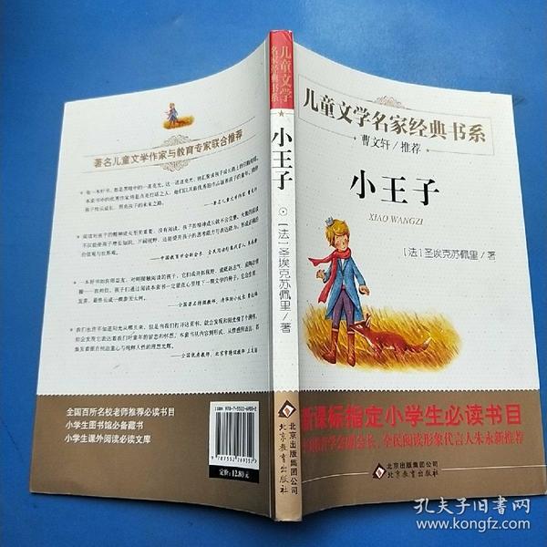 推荐一本书—小王子作文300字