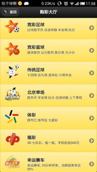 探索体彩字谜专区，解密与娱乐的完美结合