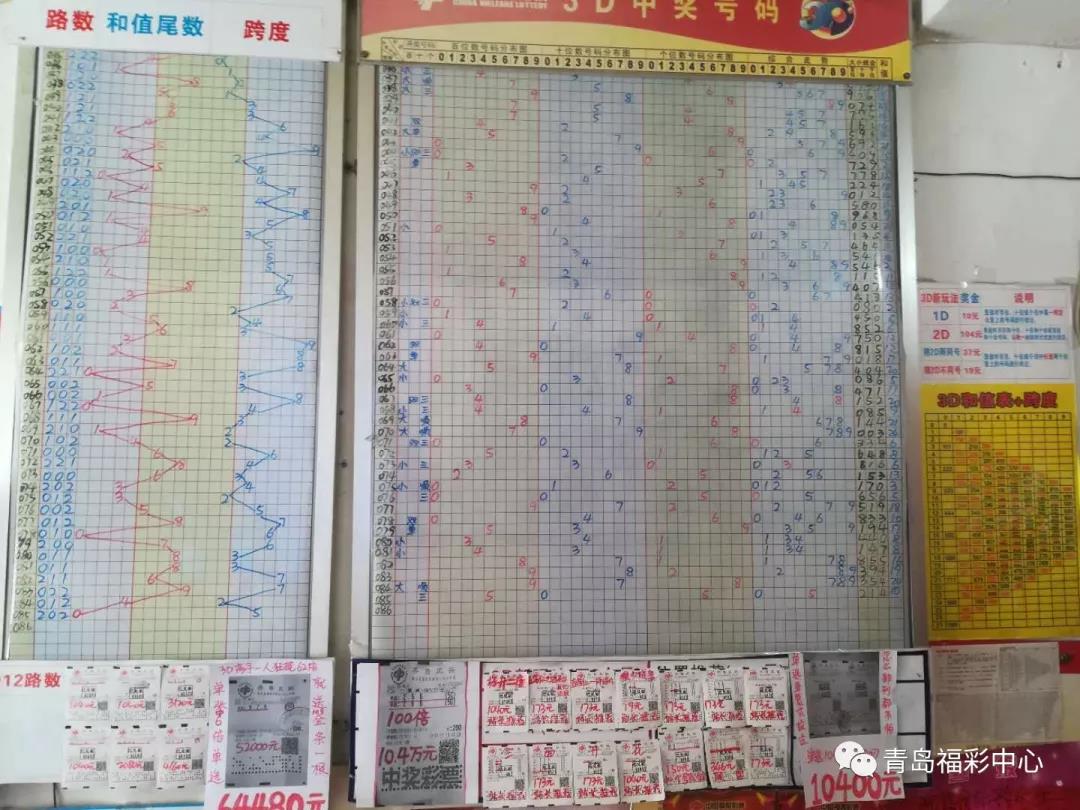 探索排三跨度走势，揭示数字排列的神秘面纱
