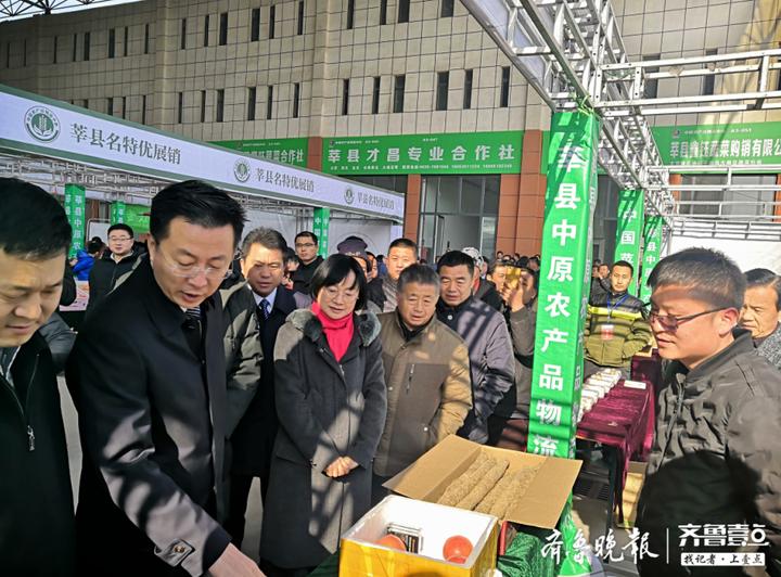 快递查询、手机号查询与追踪，现代物流服务的新篇章