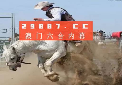 澳门六叔公资料网站官方正版，深度解析与探索