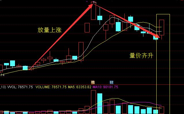 澳门六号码头走势图最新预测资料大全解析与探讨