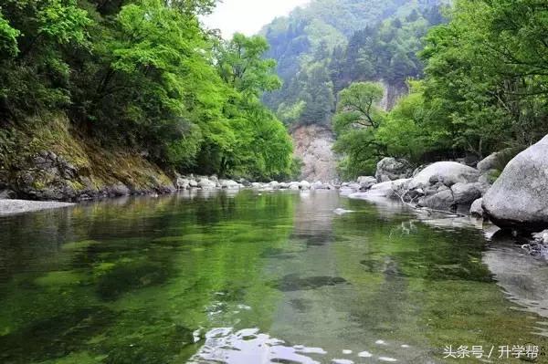 澳门六开走势图图解详解解析