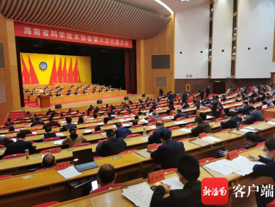澳门六号台最新消息新闻，聚焦发展动态与未来展望