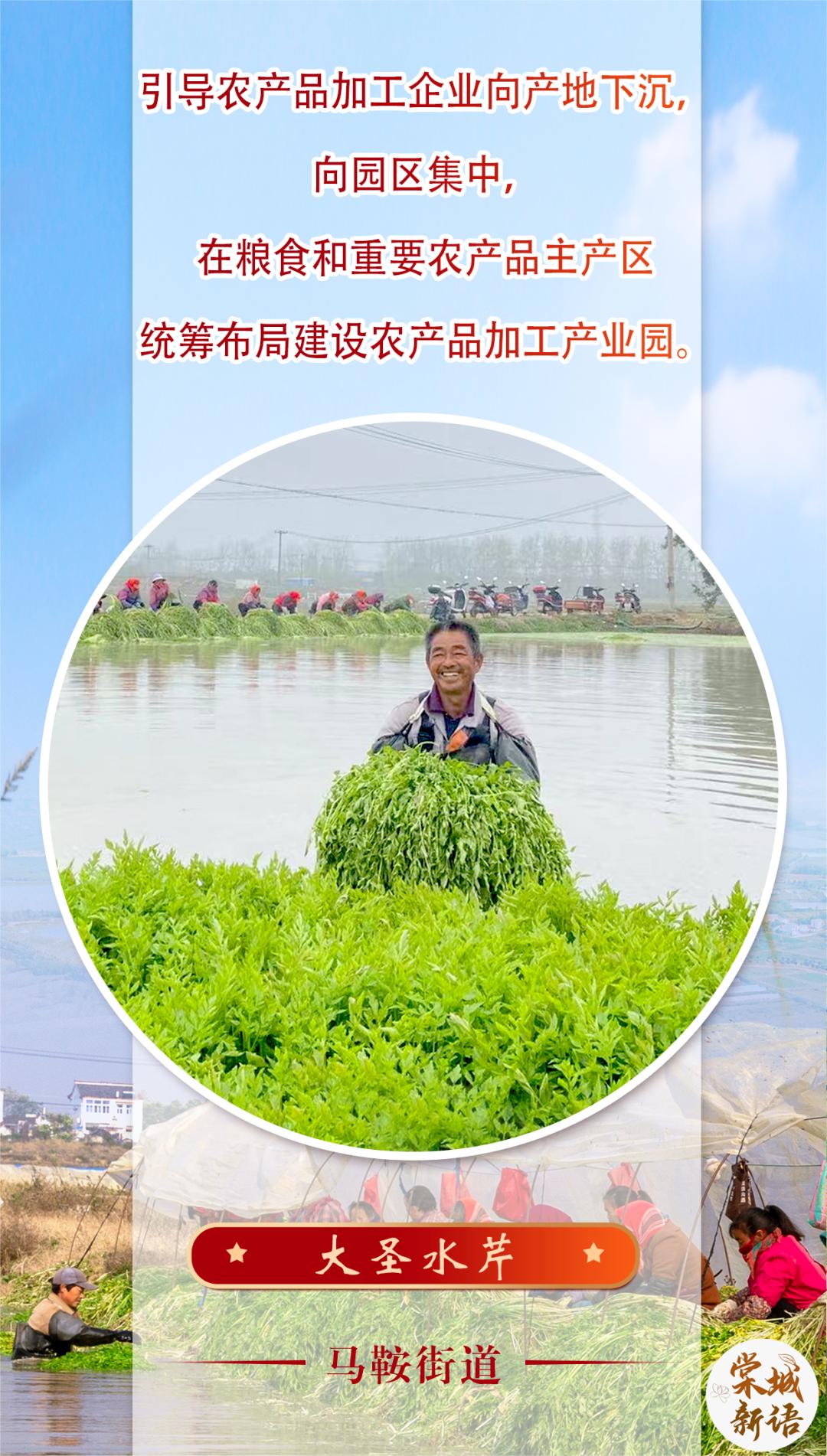 澳门六盒宝典2023年版介绍视频，揭秘最新秘籍与特色功能