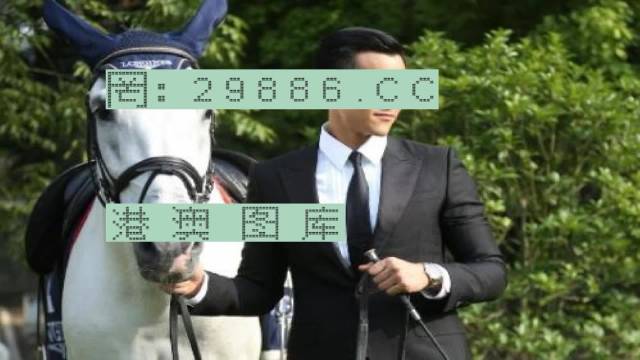澳门六哥视频完整版免费下载，探索与体验
