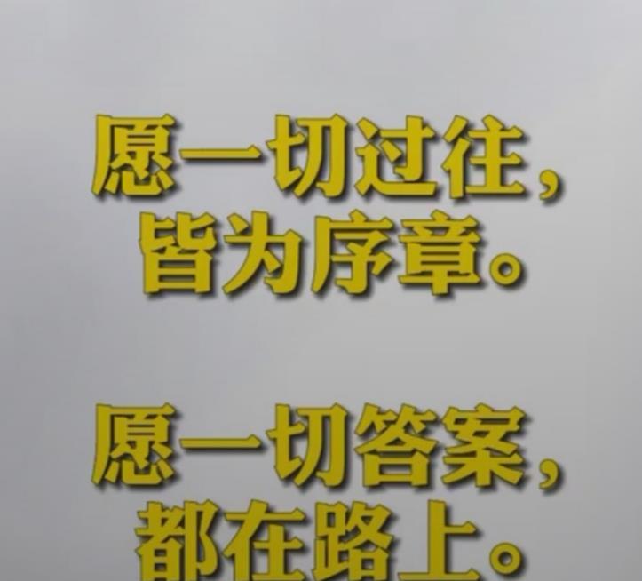 澳门六哥事件最新进展视频，揭露事件内幕与后续动态