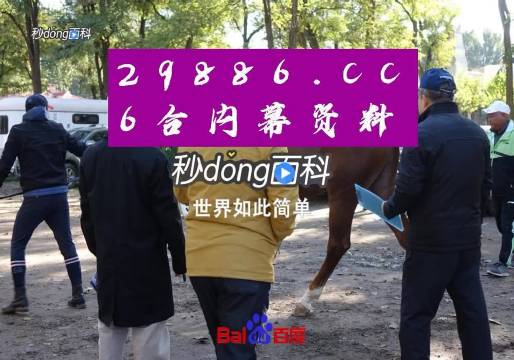 澳门六爷最新资料视频在线观看，探索与揭秘