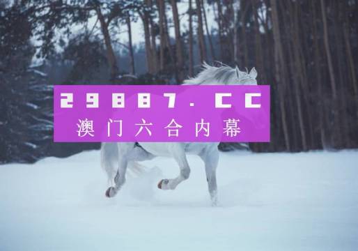 澳门六哥最新直播视频网站大全免费下载，探索直播娱乐的新天地