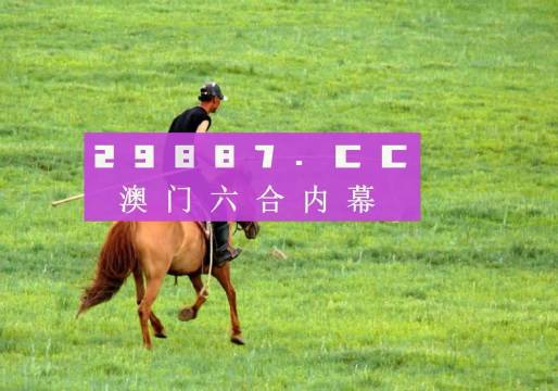 澳门六哥最新直播视频在线观看，免费中文版完整呈现