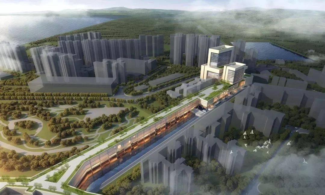 澳门六个通关口岸详解