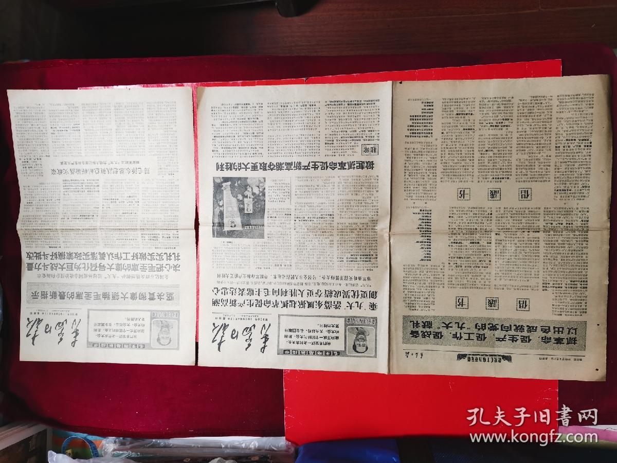 澳门六张牌照图片最新，探索与解析