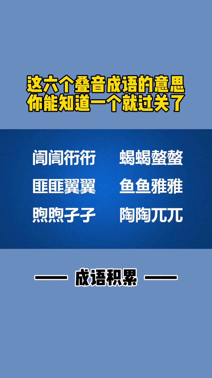 澳门六张牌照揭秘，背景、特点与意义
