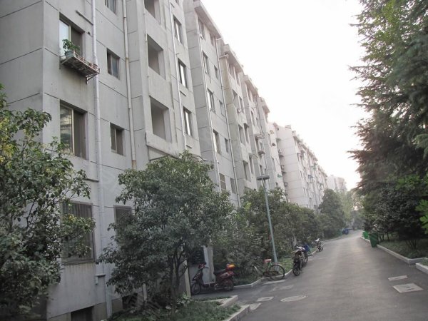 澳门六合社区的小区概述