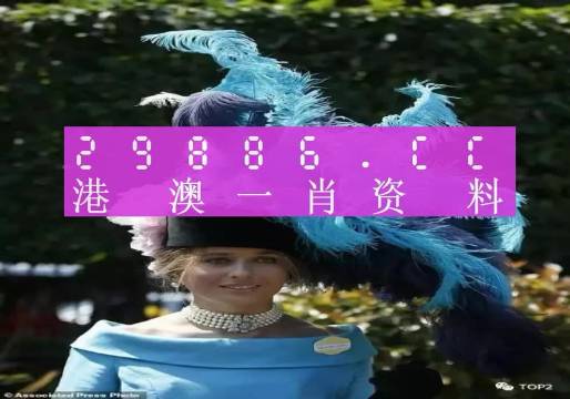 澳门六网站资料查询指南，探索2023年的最新信息