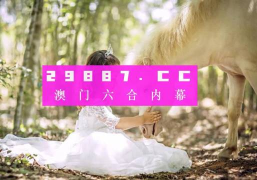 澳门六网站免费资料查询官方正版，探索正版资料的世界